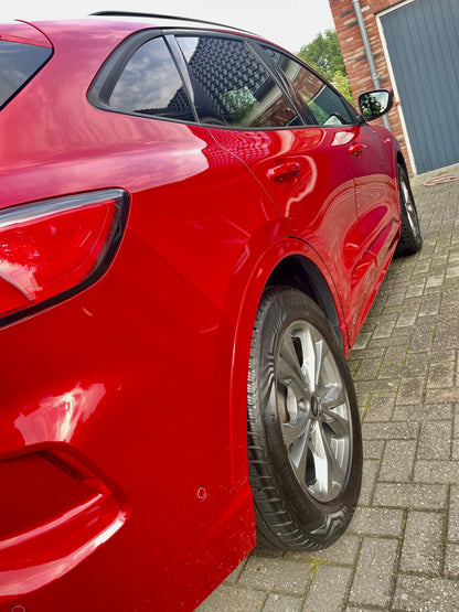 Exterieur Reiniging